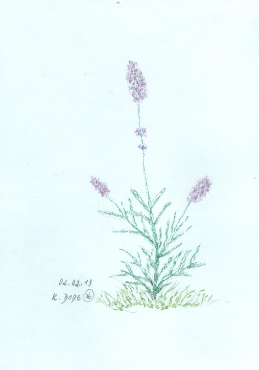 Öl-Pastell-Kreide, A5