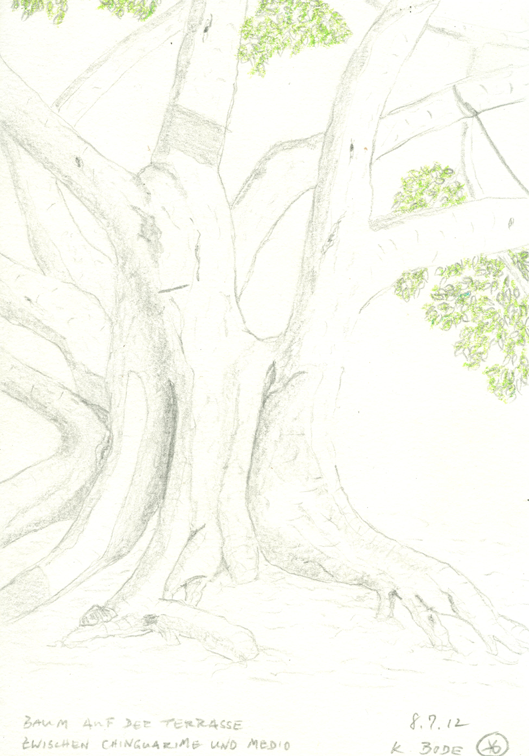 Bleistift/Öl-Pastell-Kreide, A5