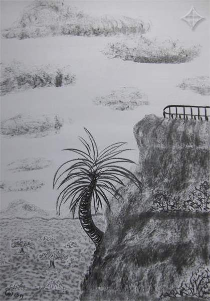 Die Palme, Kohlezeichnung, 30 x 42 cm