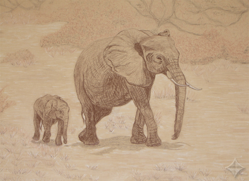 Vorlage aus dem Buch -Auf den F�hrten wilder Tiere- von Harald Lange, Elefanten, Cont�kreide auf Pastellpappe, 50 x 35 cm