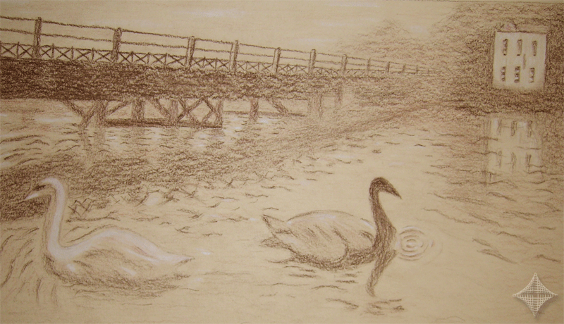 Vorlage aus dem Buch -Zeichnen lernen- von Angela Gair, Schw�ne, Cont�kreide auf Pastellpappe, 50 x 35 cm