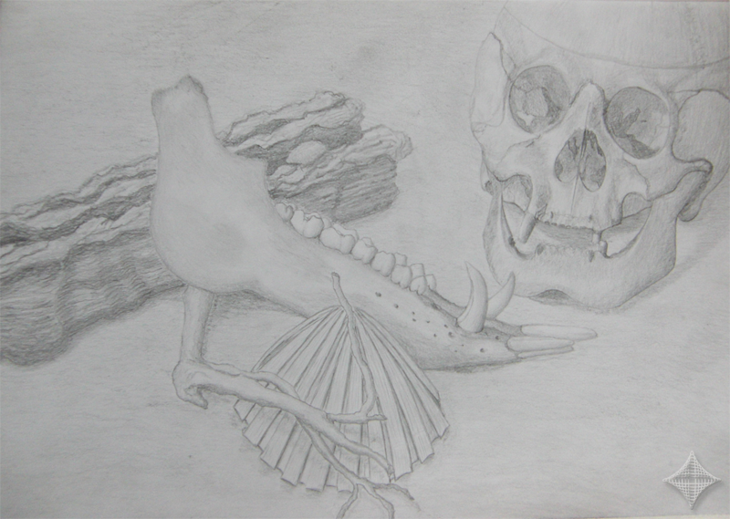 Vergaenglichkeit, Bleistiftzeichnung, A3